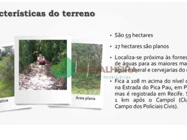 #MAR206R - Sítio para Venda em Recife - PE