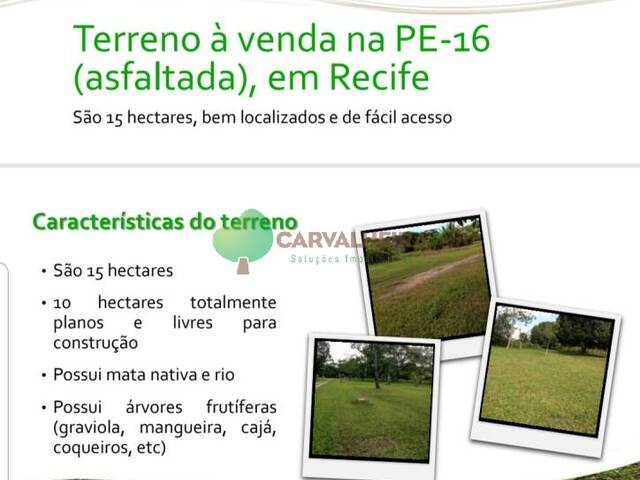 #MAR208R - Sítio para Venda em Recife - PE