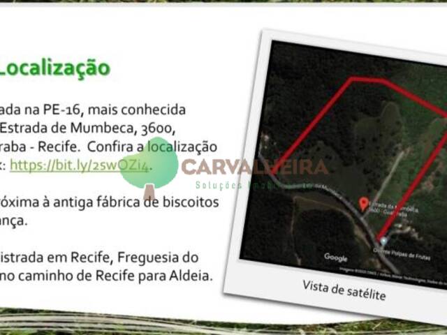 #MAR208R - Sítio para Venda em Recife - PE