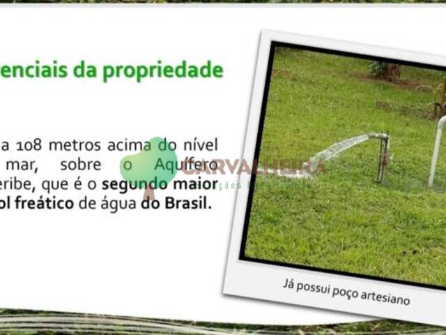 #MAR208R - Sítio para Venda em Recife - PE